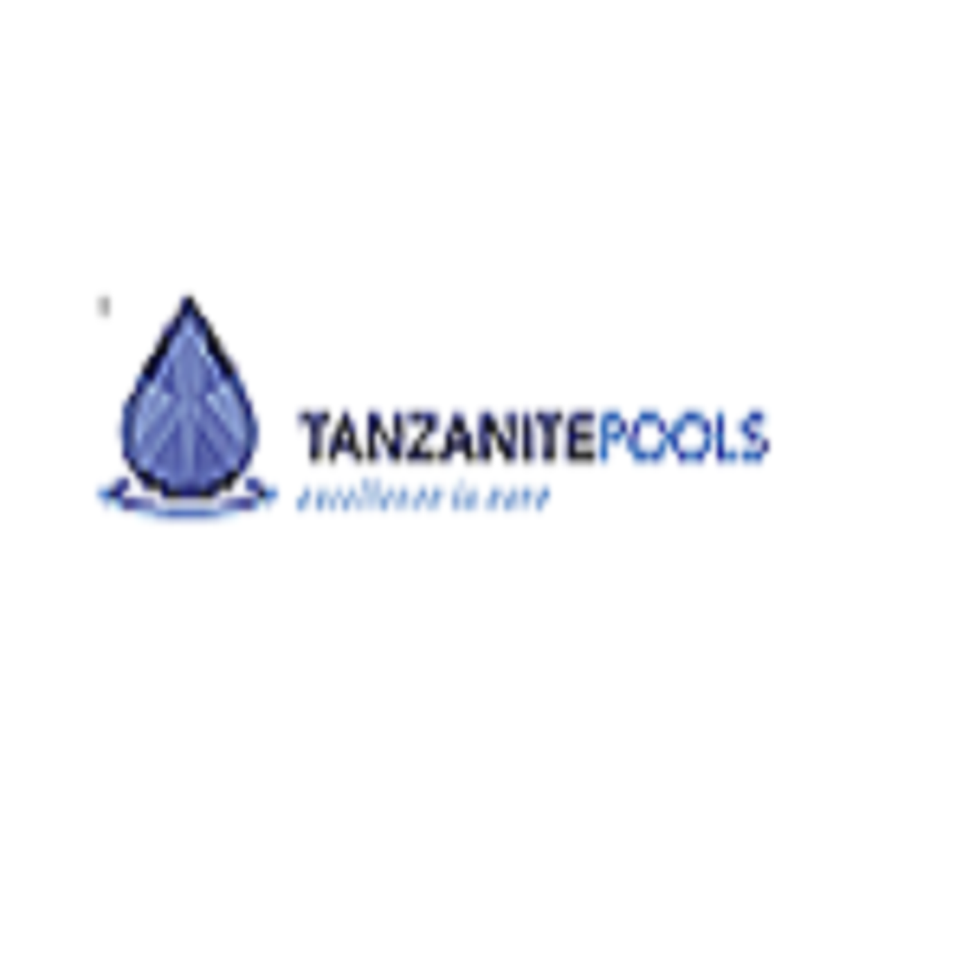 Company Name