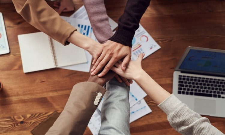 Guest Blog Posting Service to Engage in Other Business Capacities