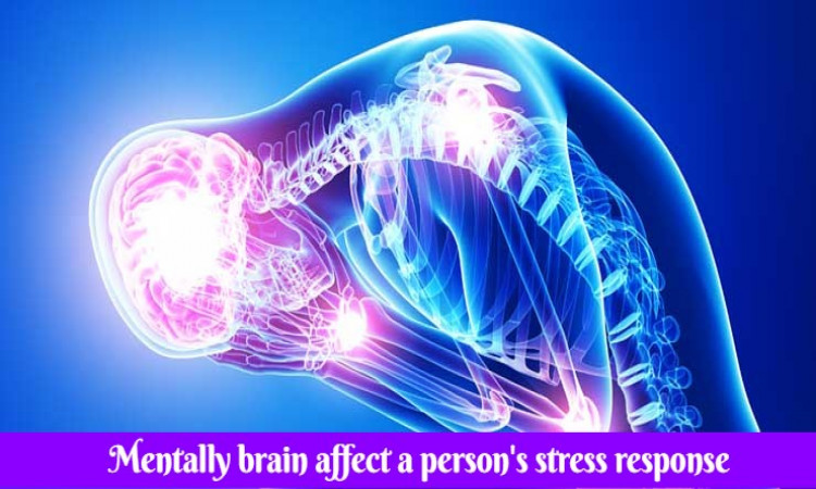 mentally brain affect a person's stress response