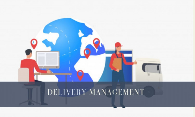 How Can Small Businesses Benefit From Delivery Management Software?