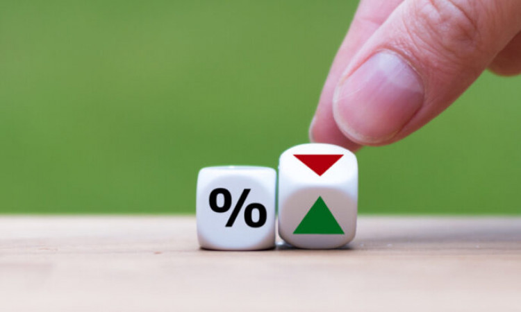 How to Avail the Best Loan Rates?