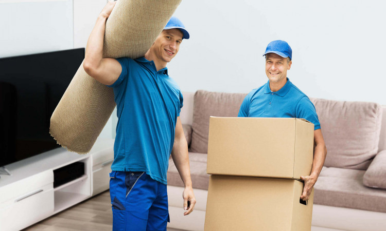 Why You Should Hire Professional Movers and Packers for your Move?