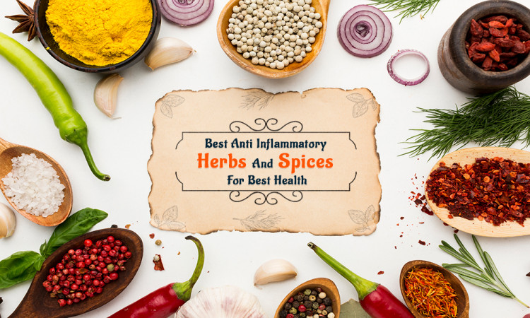 Best Anti Inflammatory Herbs And Spices For Best Health
