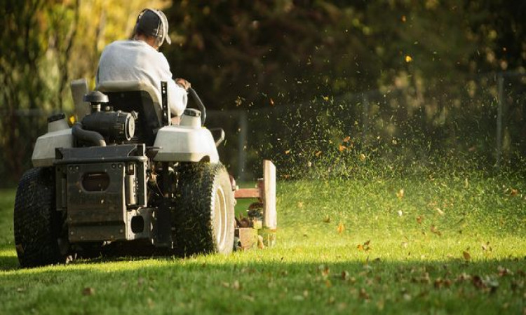 Important Things to Keep in Mind When Hiring A Lawn Care Company