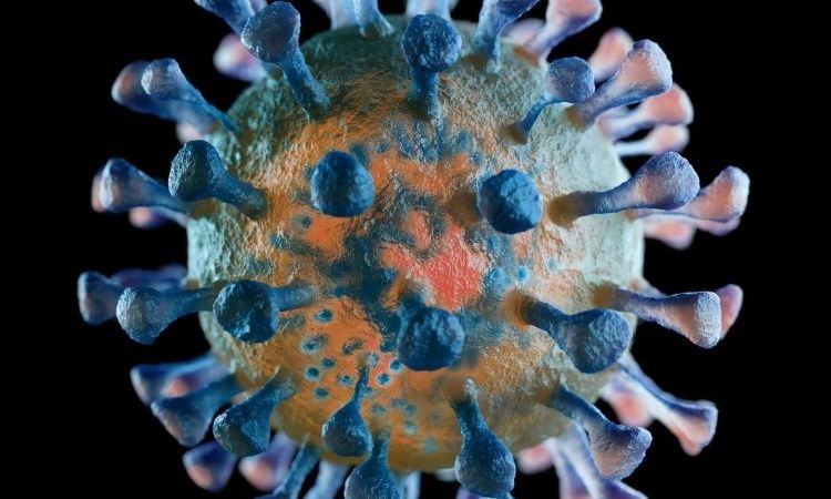 Everything You Should Know About Coronavirus Disease (COVID-19)