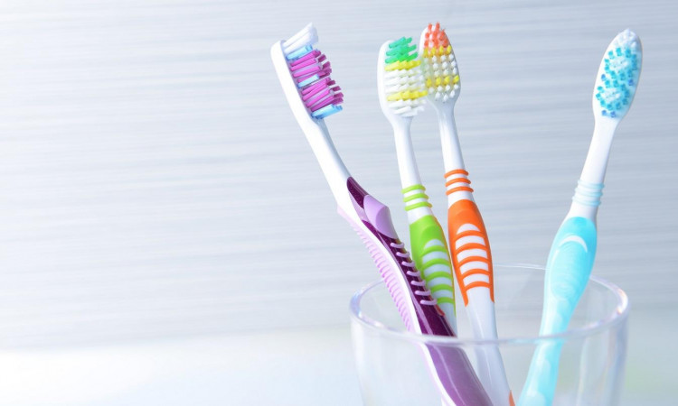 Did You Know Your Plastic Toothbrush Is Destroying The Environment