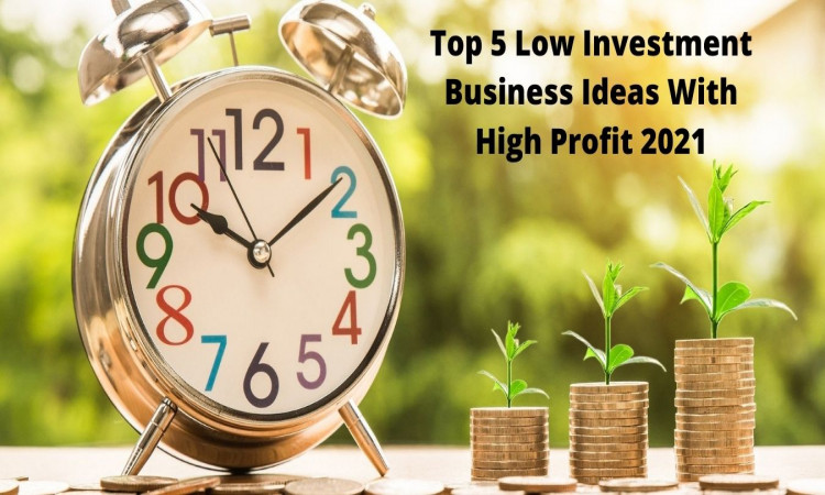 Top 5 Low Investment Business Ideas With High Profit 2021