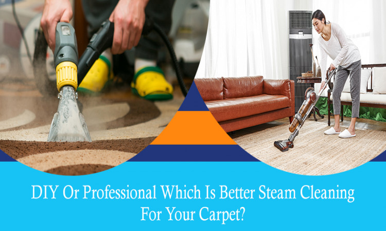 DIY or Professional: Which Is Better Steam Cleaning for Your Carpet?