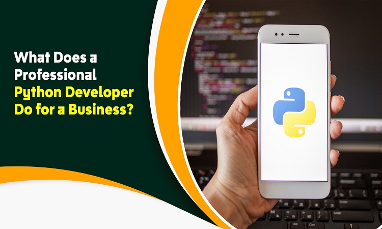What Roles a Professional Python Developer Play for a Business?