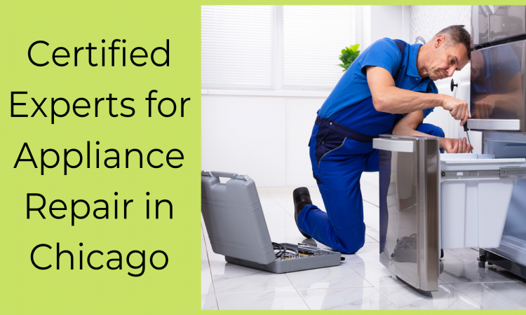 What to search for the best appliance repair in Chicago?