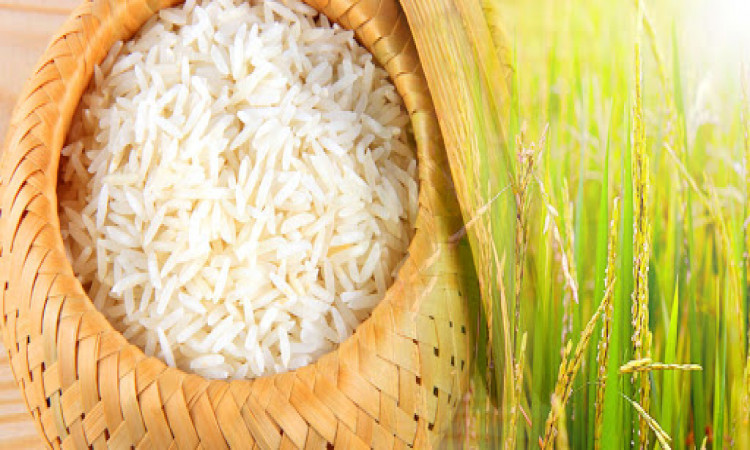 Basmati-  The King of Rice