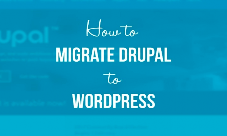 Best Tips for Drupal Developers Migrating to WordPress
