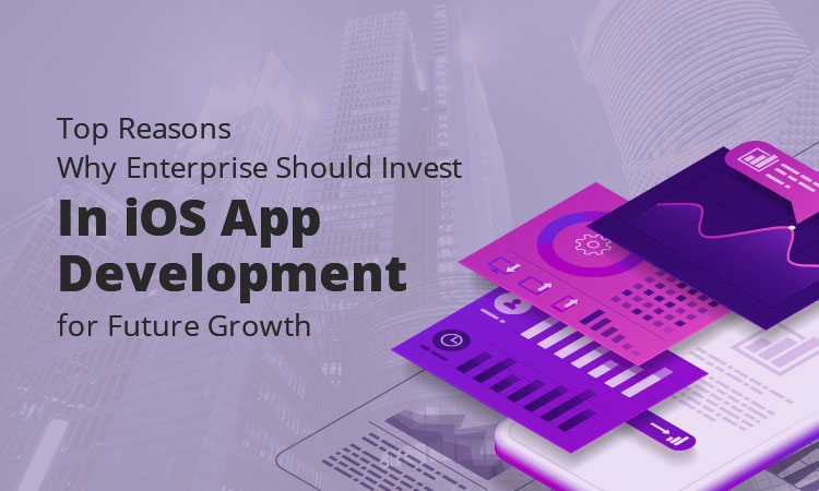 Top Reasons Why Enterprise Should Invest In iOS App Development for Future Growth 