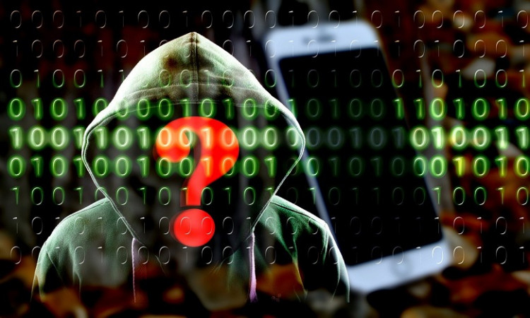 WordPress Security Facts and Statistics : How to Hide Your Resource From Hacker Attack