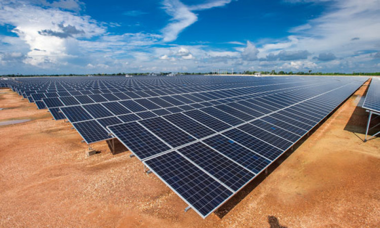 Top Solar PV Module Manufacturer India