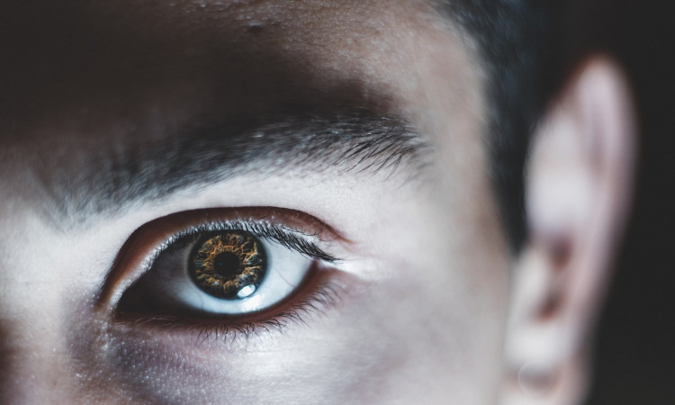 Causes and Treatment of Eyelid Inflammation