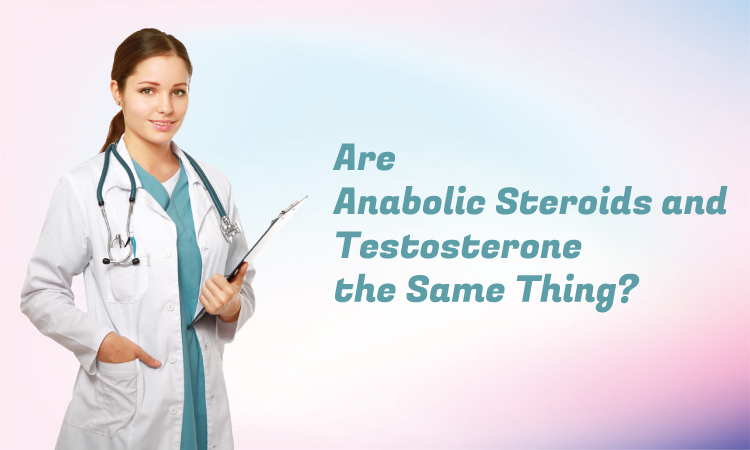 Are Anabolic Steroids and Testosterone the Same Thing?