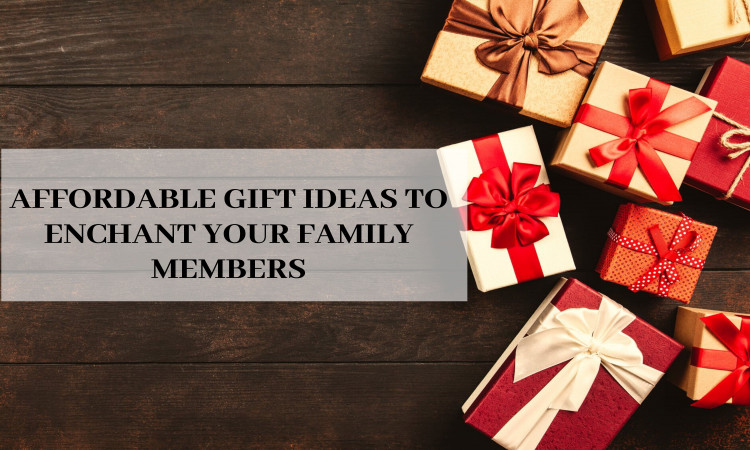 Affordable Gift Ideas to Enchant Your Family Members