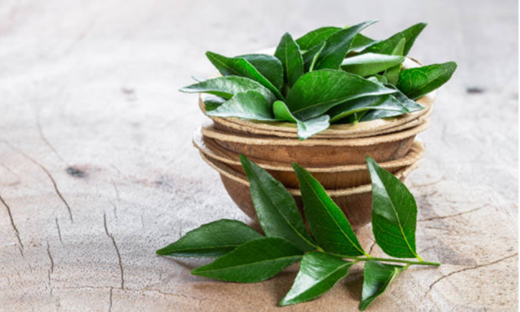 Get to know the Curry Leaf and benefits: why is it different from Curry Powder?