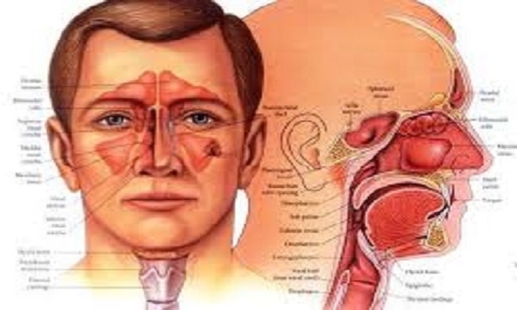 Common ENT Problems and Treatment by best ENT doctor in Jaipur