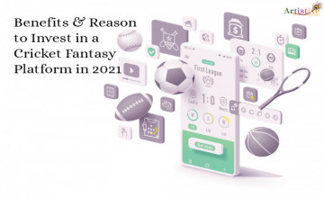 Benefits and Reason to Invest in Online Cricket Fantasy Platform in 2021