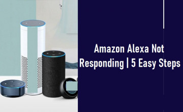Amazon Alexa Not Responding | 5 Easy Steps to Resolve