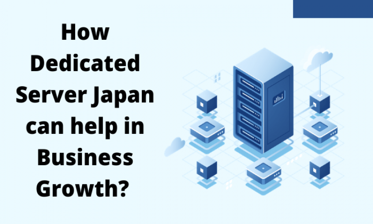 How Dedicated Server Japan can help in Business Growth? 