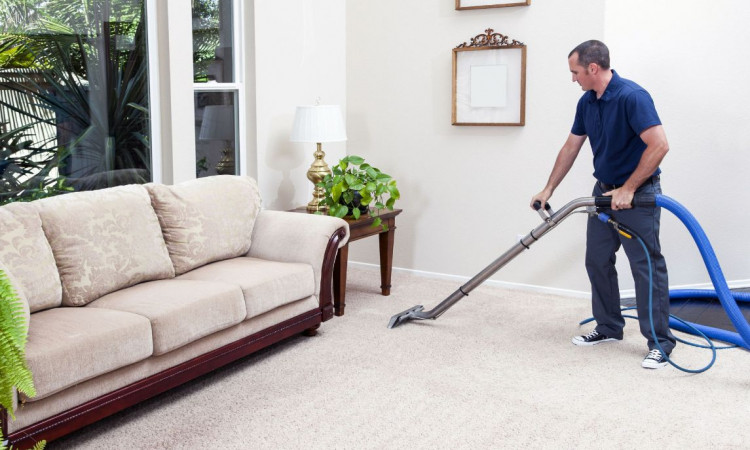 Why Choose Professional Carpet Cleaning Services?