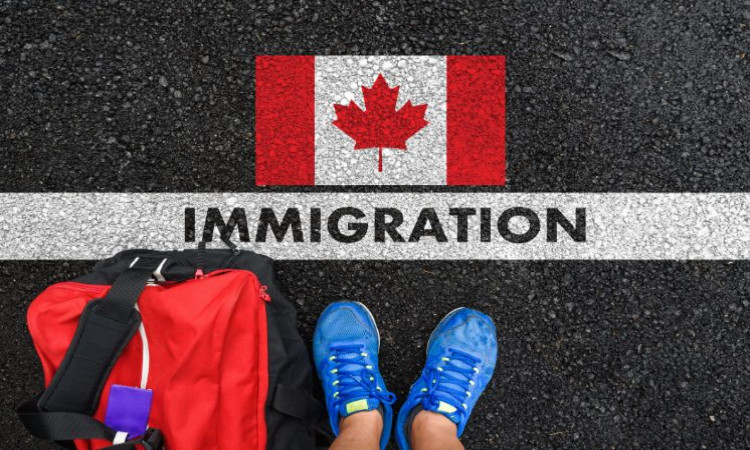 Tips for Canada Business Immigration