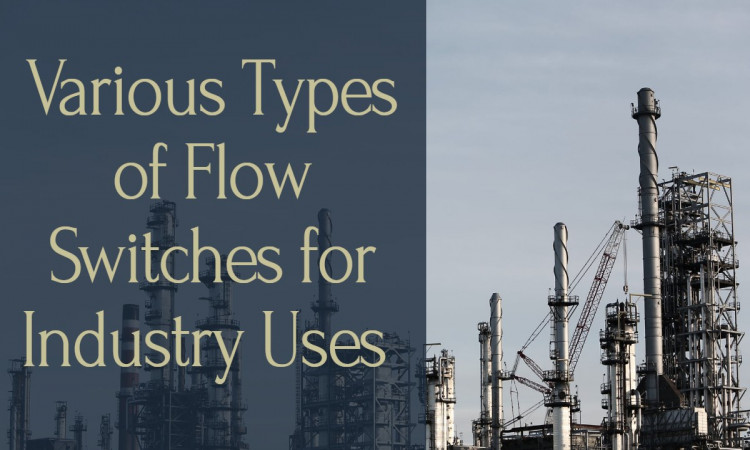 Various Types of Flow Switches for Industry Uses 