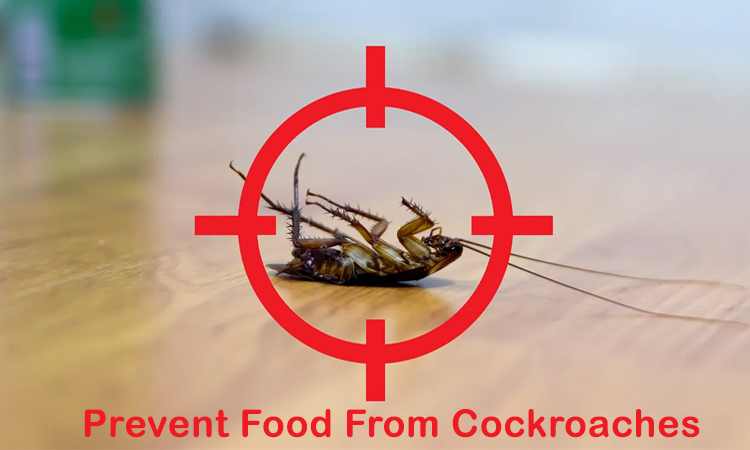 How to Prevent Cockroaches That Spoil the Food?