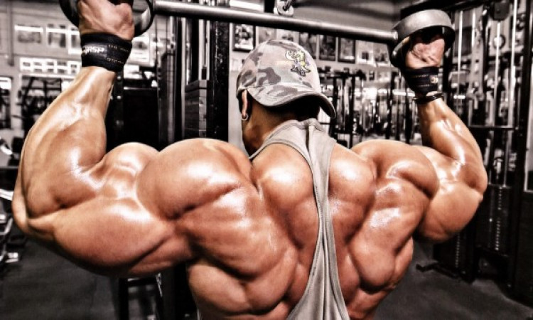 4 Fundamental Tips to Build Muscle