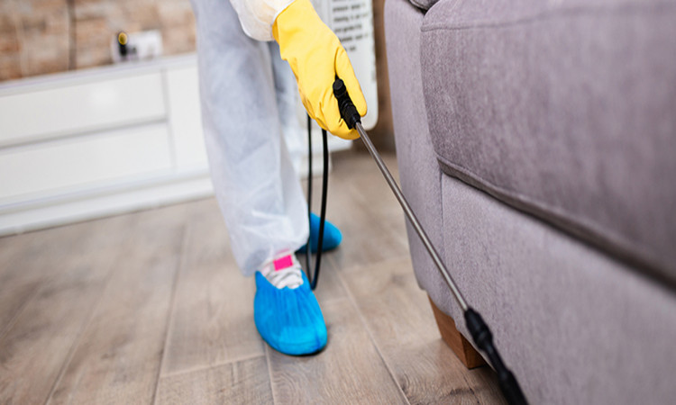 Significance of hiring Professional Residential Disinfection Services