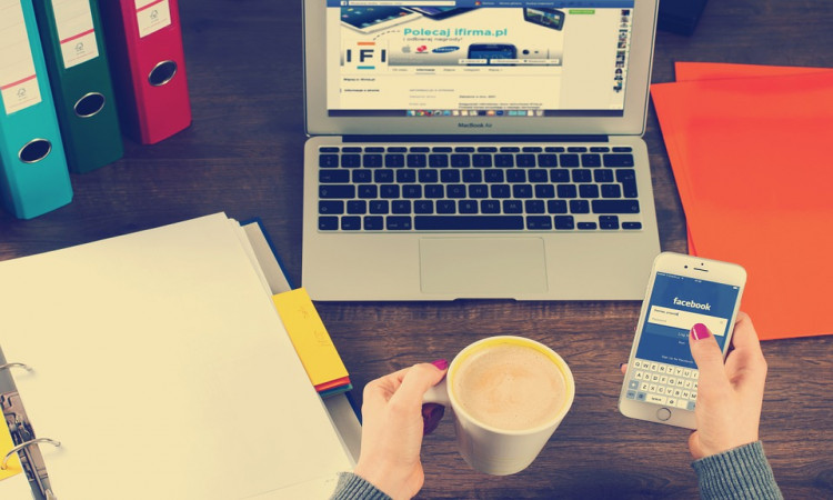 How to start your freelance SEO career