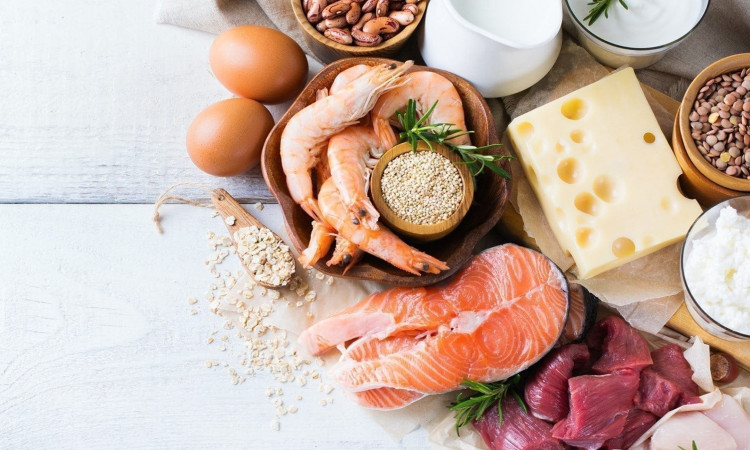 Benefits of Adding Protein-Rich Foods to Your Diet.