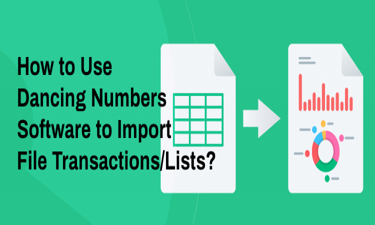 How to Use Dancing Numbers Software to Import File Transactions/Lists?