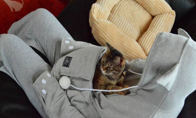 All you need to know about a Cat Pouch Hoodie