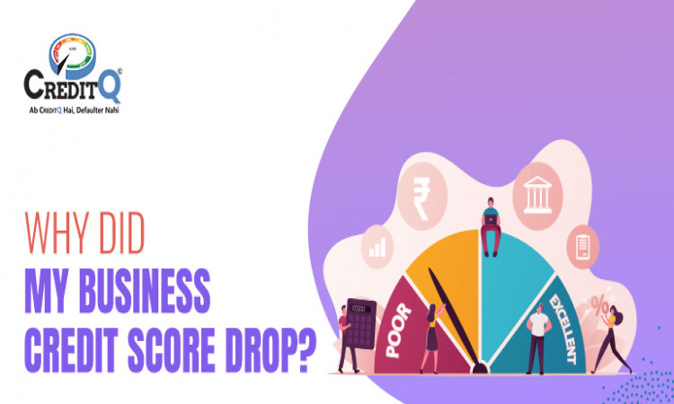 Why Did My Business Credit Score Drop?
