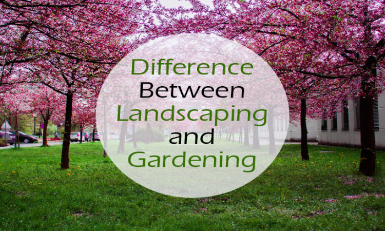 Difference between Landscaping and Gardening