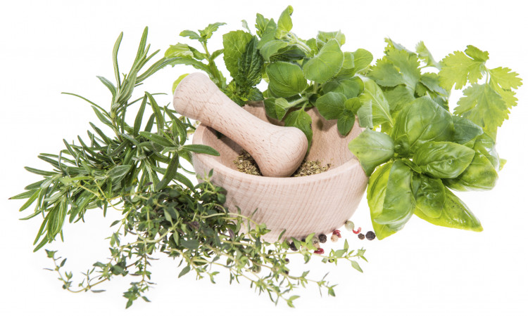 How Herbal Medicine Beneficial For Health