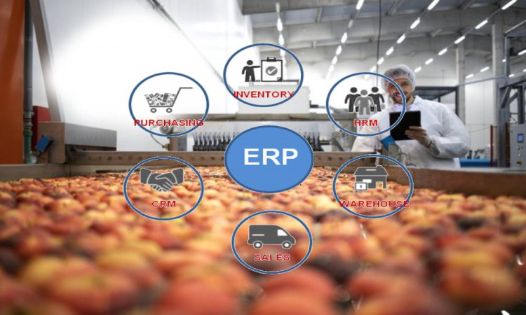 Is your Food ERP Solution Delivering a Strong ROI?