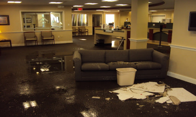 What are the Alterations Between Water Damage and Flood Damage? 