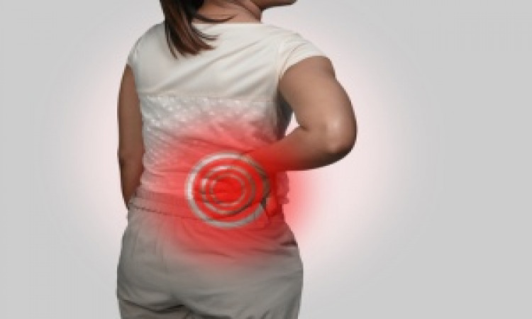 The Best Herbal Medicine For Kidney Stones