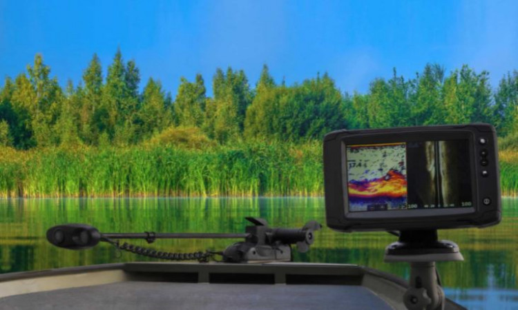 How To Choose The Best Shallow Water Fish Finder? 