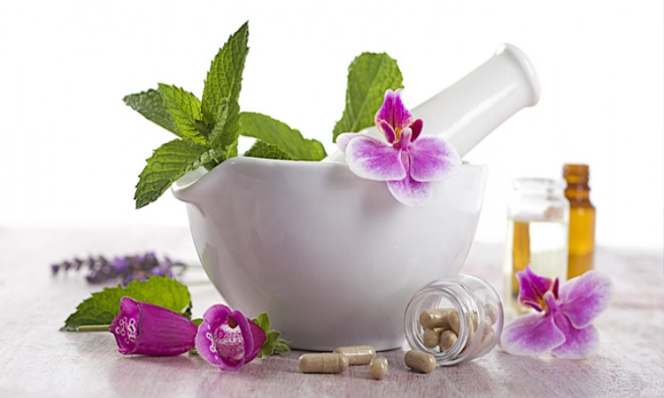 Herbs: Standardisation vs. Holistic Approach