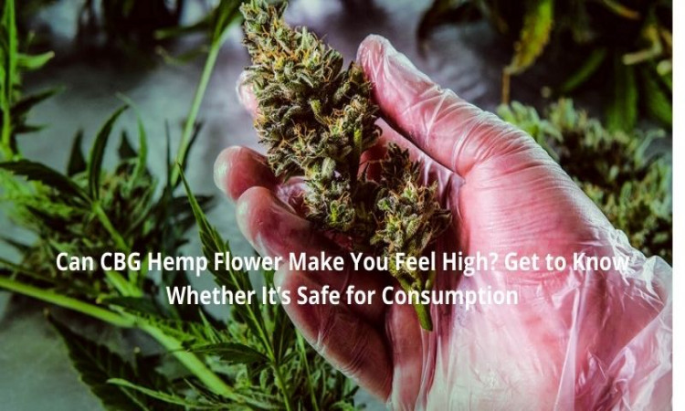 Can CBG Hemp Flower Make You Feel High? Get to Know Whether It’s Safe for Consumption