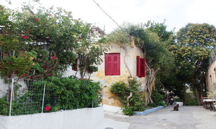 Discover the real Athens through a virtual tour
