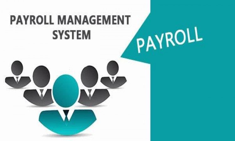 Know the Purpose of Payroll Management System