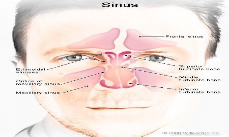 Post Nasal Drip - Symptoms and Treatment