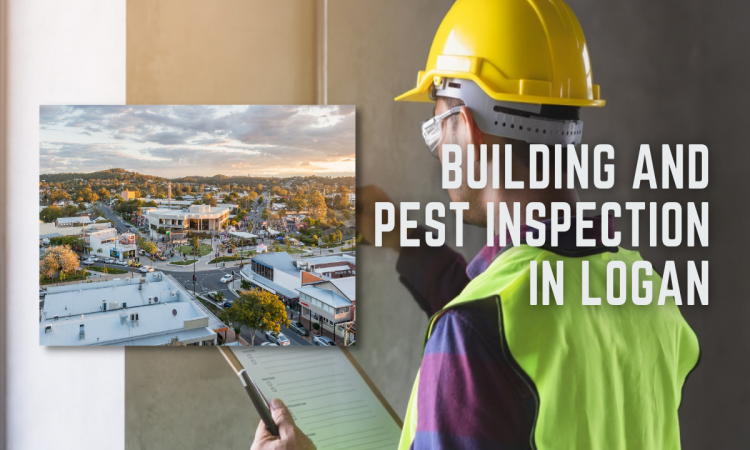 Everything You Need To Know About Building and Pest Inspection in Logan